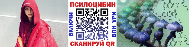 Псилоцибиновые грибы Psilocybine cubensis  Нязепетровск 