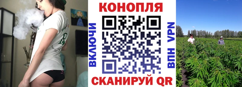 закладка  Нязепетровск  Марихуана Ganja 